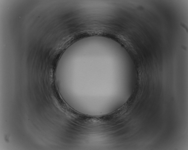 X0000102020498200807180946