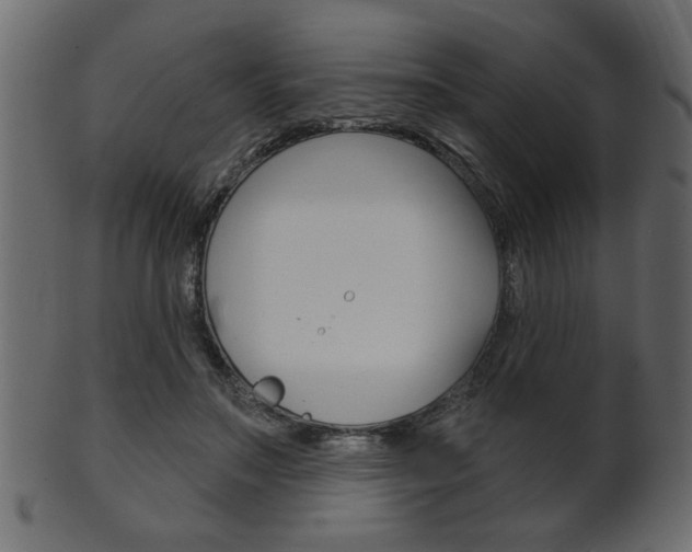 X0000102020499200807180946
