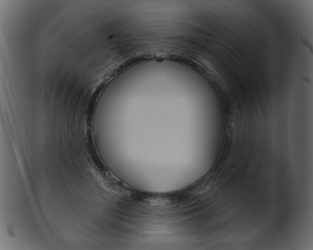 X0000102020500200807180946