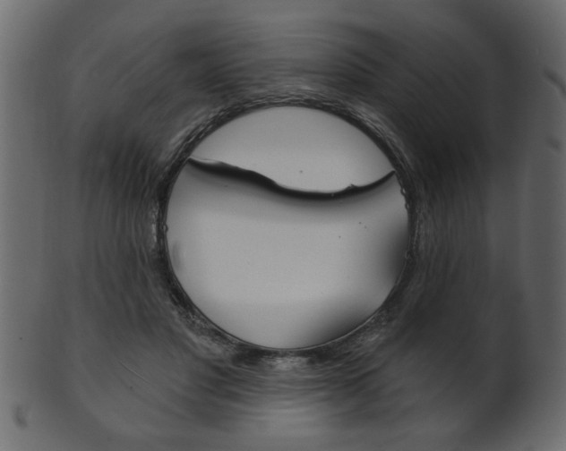 X0000102020501200807180946