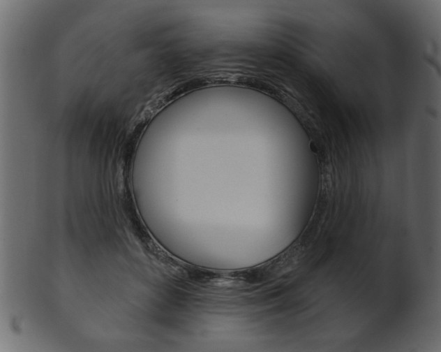 X0000102020504200807180946