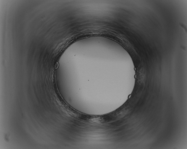 X0000102020505200807180946