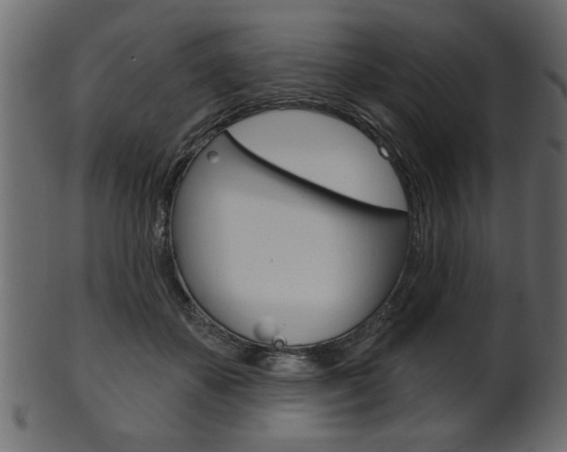 X0000102020507200807180946