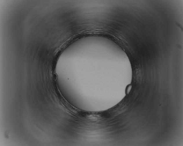 X0000102020508200807180946