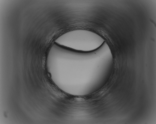 X0000102020509200807180946