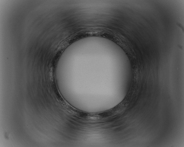 X0000102020510200807180946