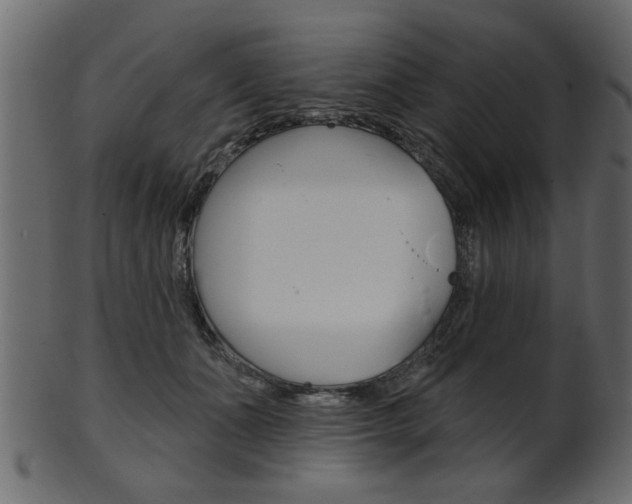 X0000102020511200807180946