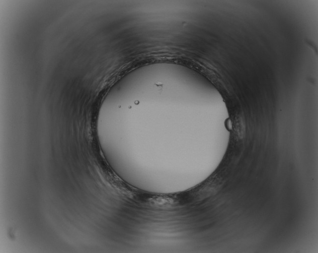 X0000102020512200807180946