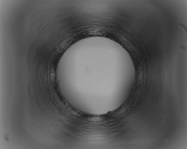 X0000102020513200807180946