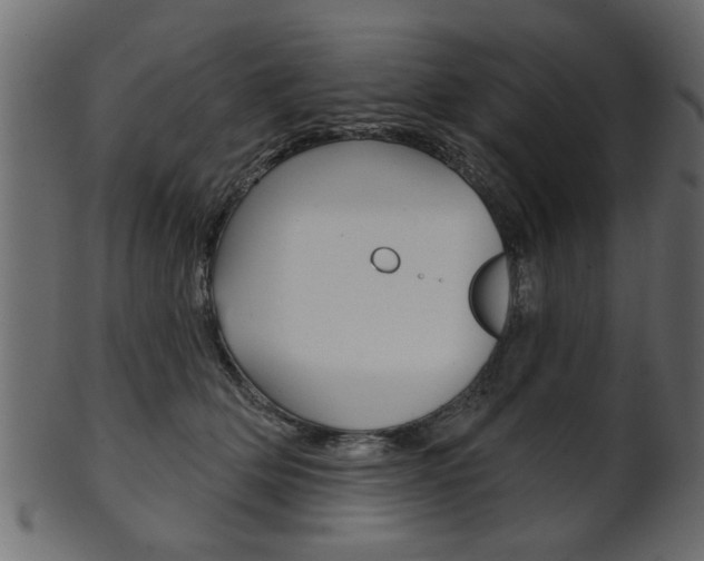 X0000102020514200807180946