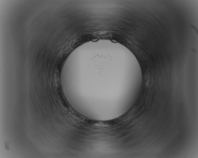 X0000102020515200807180946