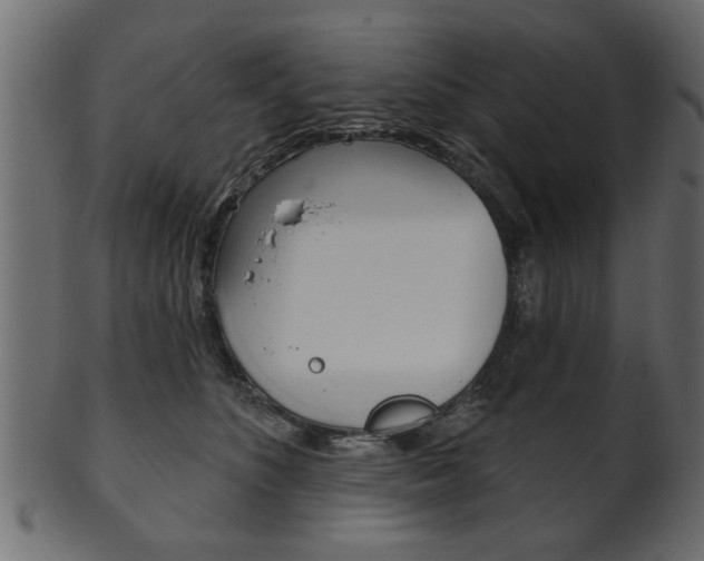 X0000102020516200807180946