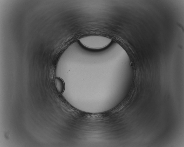 X0000102020517200807180946