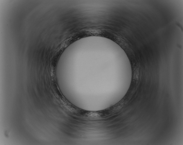 X0000102020518200807180946