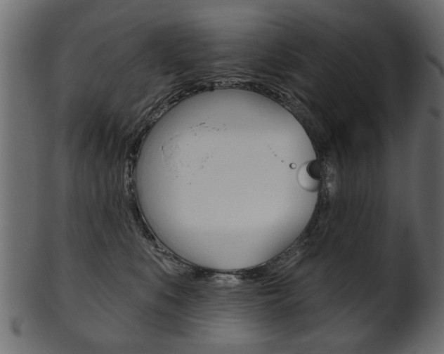 X0000102020519200807180946