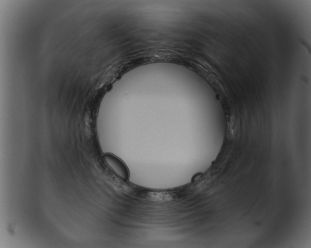 X0000102020520200807180946