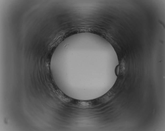 X0000102020522200807180946