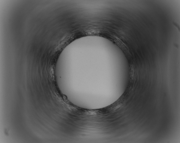 X0000102020523200807180946