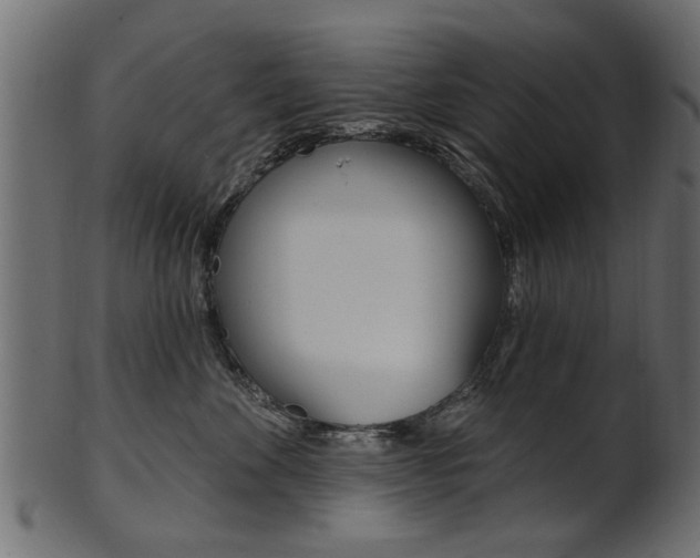 X0000102020524200807180946