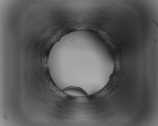X0000102020525200807180946