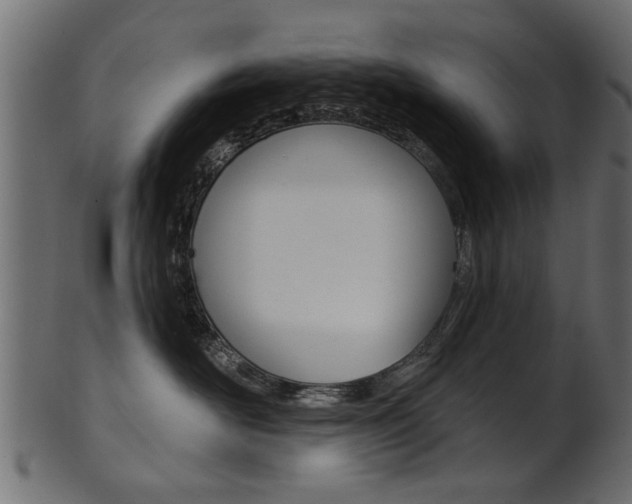 X0000102020526200807180946