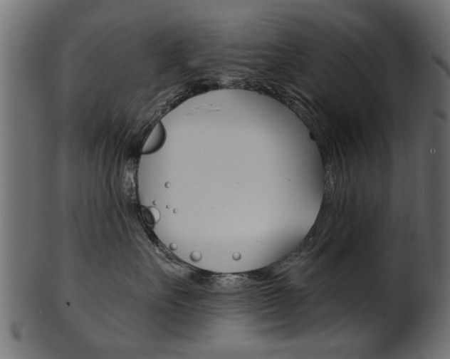 X0000102020527200807180946