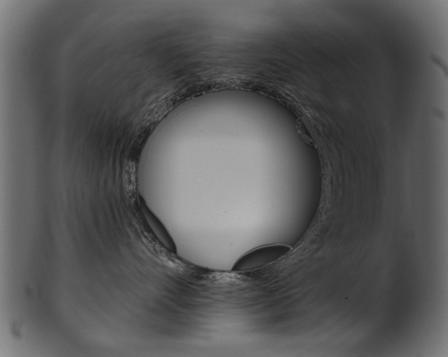 X0000102020528200807180946