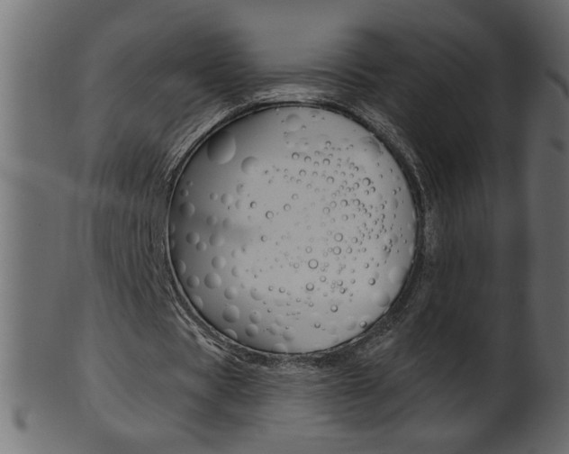 X0000102020529200807180945