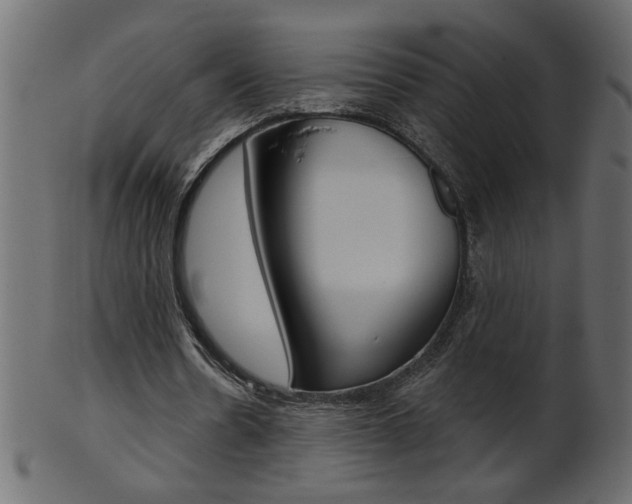 X0000102020530200807180945