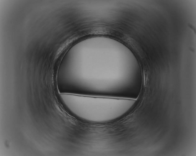 X0000102020531200807180945