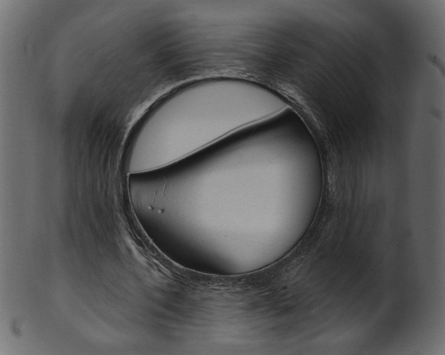 X0000102020532200807180945