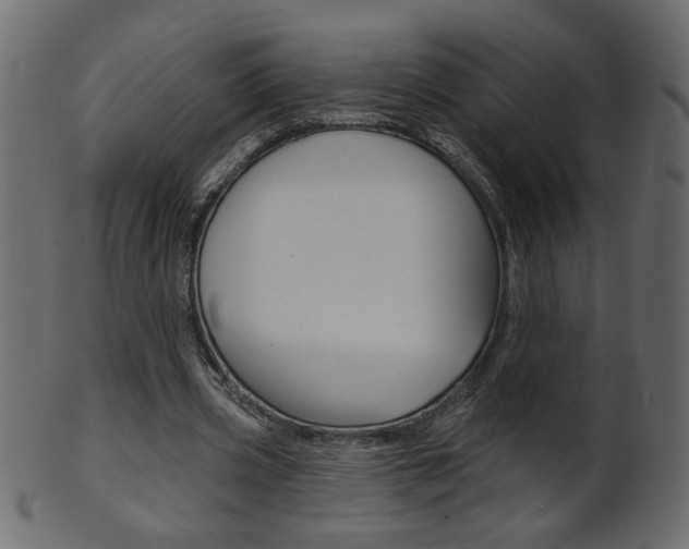 X0000102020533200807180945