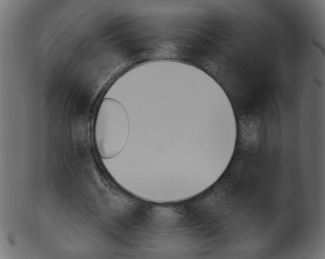 X0000102020534200807180945