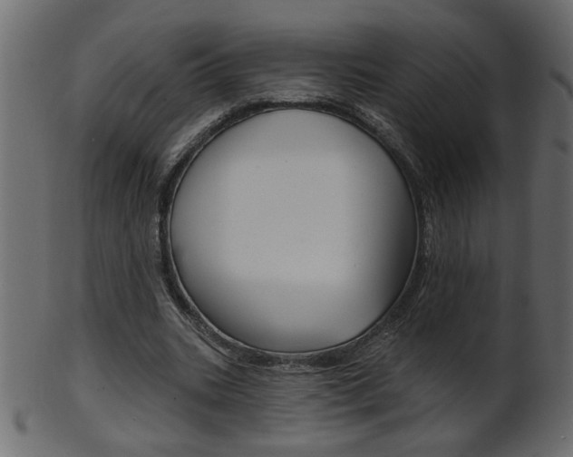 X0000102020535200807180945