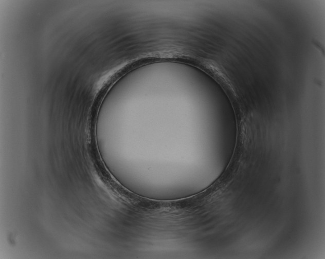 X0000102020536200807180945