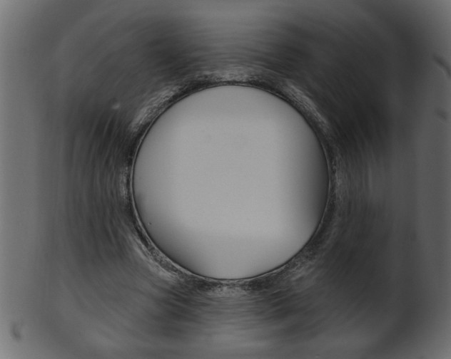 X0000102020537200807180945