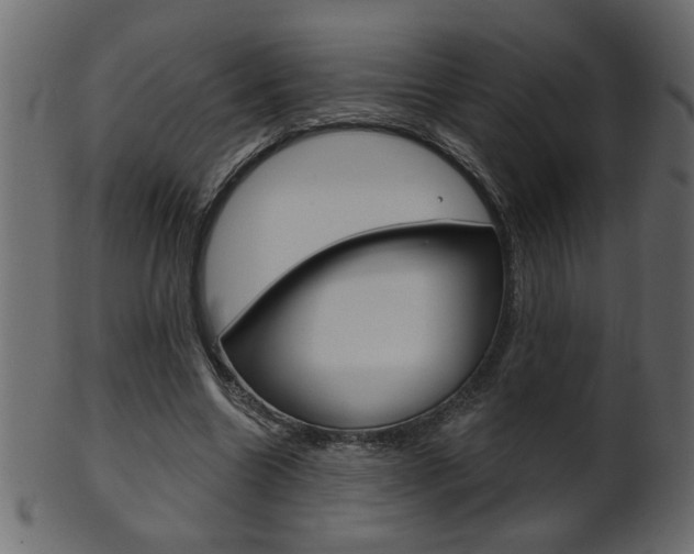X0000102020538200807180945