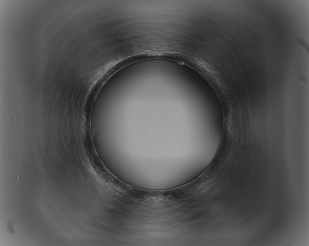 X0000102020540200807180945