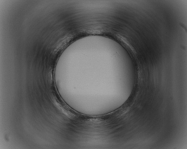 X0000102020541200807180945