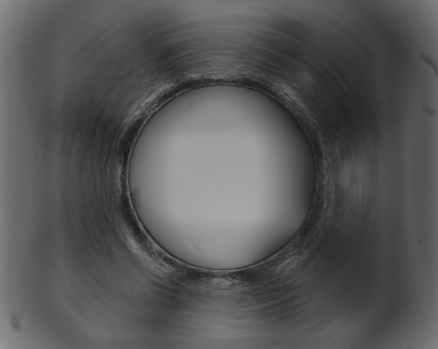 X0000102020542200807180945
