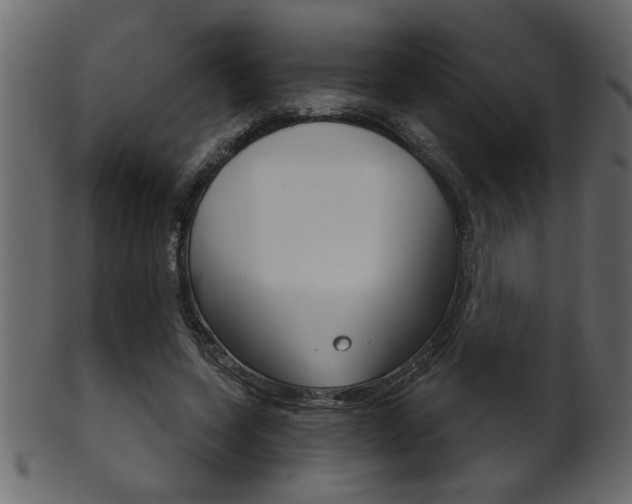 X0000102020543200807180945