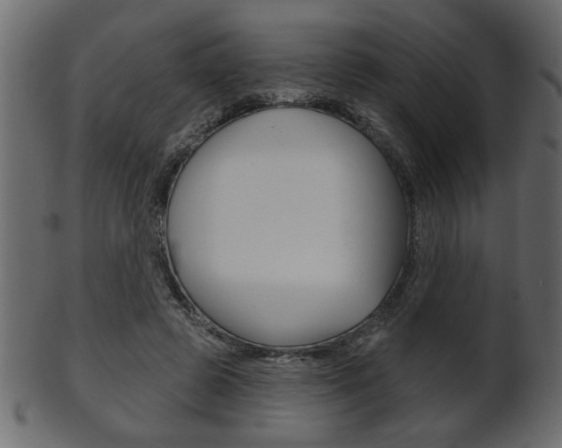 X0000102020545200807180945