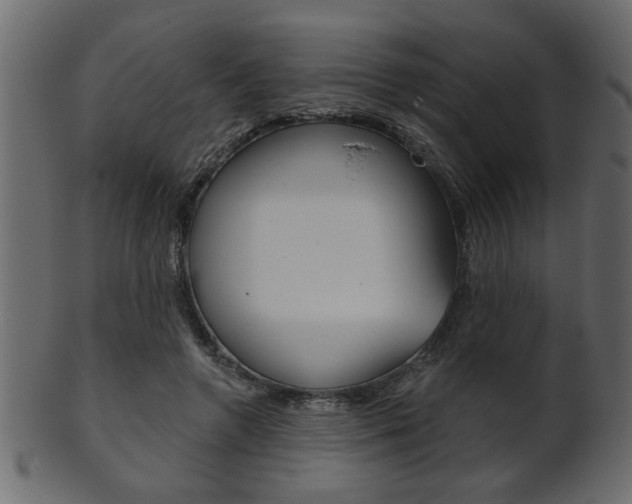 X0000102020546200807180945