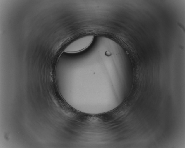 X0000102020547200807180945