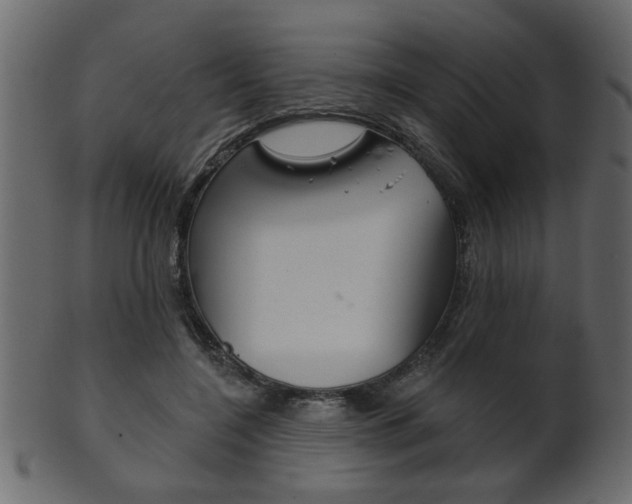 X0000102020548200807180945