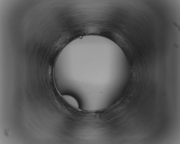 X0000102020550200807180945