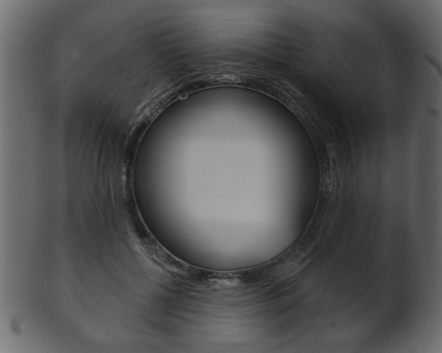 X0000102020552200807180945