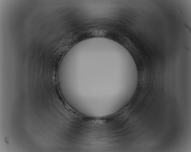 X0000102020553200807180945