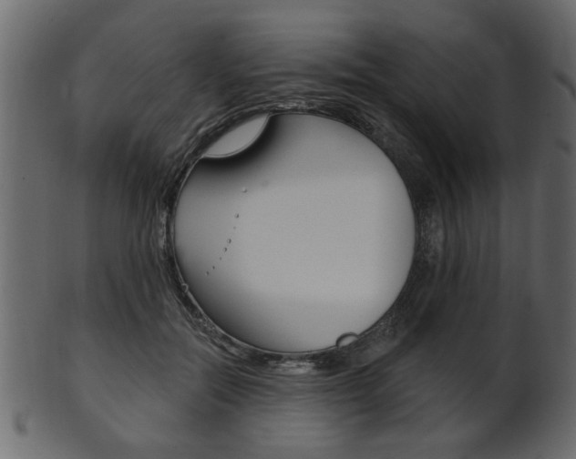 X0000102020554200807180945