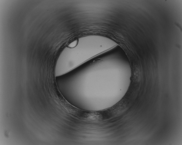 X0000102020555200807180945